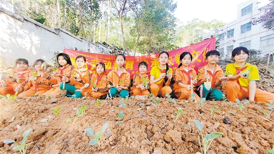 双合镇合成小学打造“生态美·劳动美”劳动实践基地，将课堂搬进田园，为学生们提供了亲近自然、体验劳作的机会。