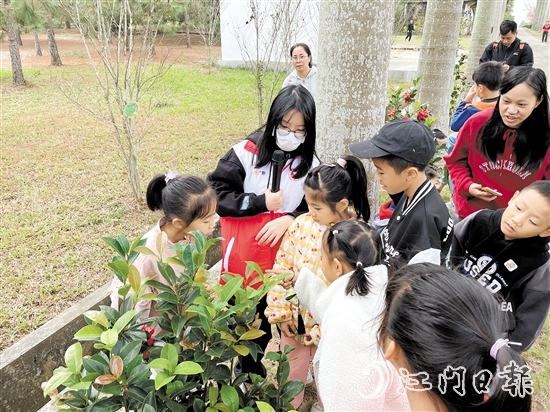 孩子们在自然导师的介绍下了解各种植物。
