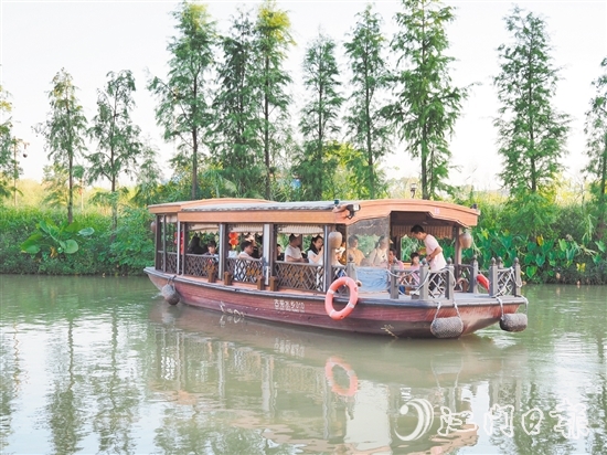 游客在古劳水乡旅游区乘坐游船欣赏水乡风景。