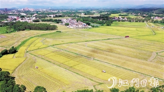 南塘村通过“两预两委托”模式，成功整合约73.33公顷（1100多亩）田地，依托农村“三资”管理平台流转给专业农业公司开展大规模种植。