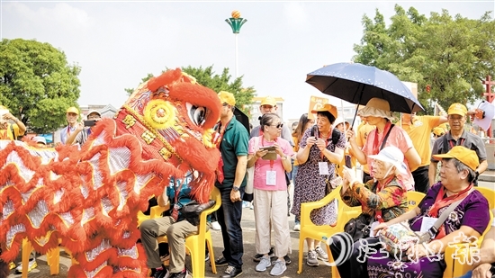 250多名恳亲代表参加家乡游观光活动，畅叙乡情。