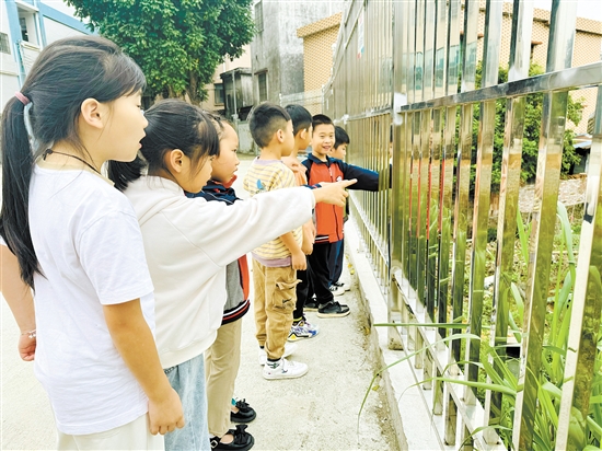 “乐筑”计划为学校带来新变化。