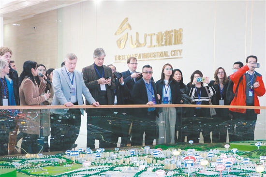 参访团走进台山工业新城进行探访考察。