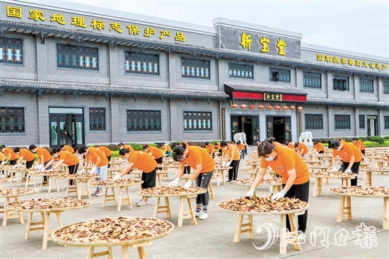 新宝堂坚持天然生晒、自然陈化的新会陈皮传统炮制技艺。