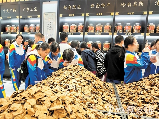 在陈皮展厅，同学们学习辨识不同年份的陈皮。