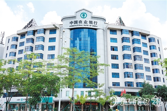 农业银行江门分行以细腻入微的笔触写好金融“五篇大文章”。