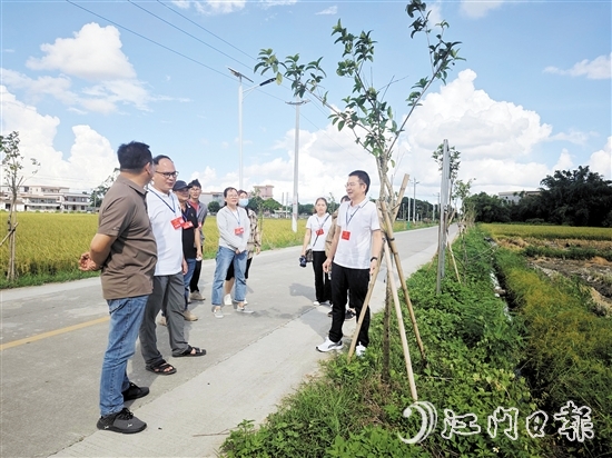牛江镇人大组织代表到高联村开展视察调研。