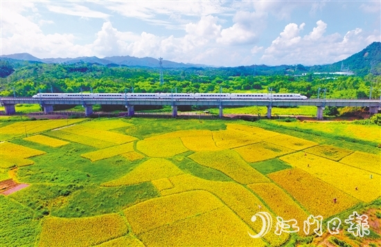 恩平市不断完善交通网络，推进深度融湾。图为江湛铁路经过恩平。