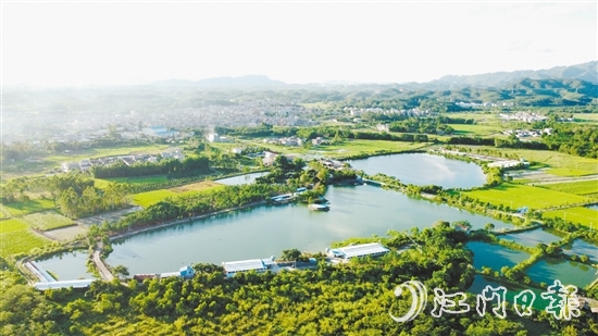 横东村特色农业发展势头较好。