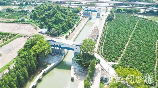 江新联围睦洲枢纽除险加固工程已基本完工，实现华丽变身，更好地发挥自身水利功能。