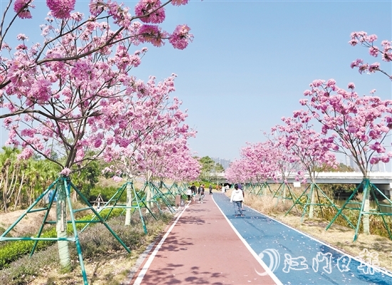 新会区推动碧道建设，美丽的风光吸引众多市民、游客前来观赏。