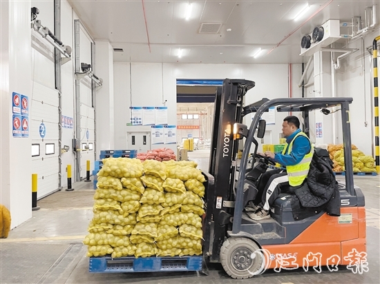恩平马铃薯品质优、口感好，在东南亚市场拥有良好的口碑。