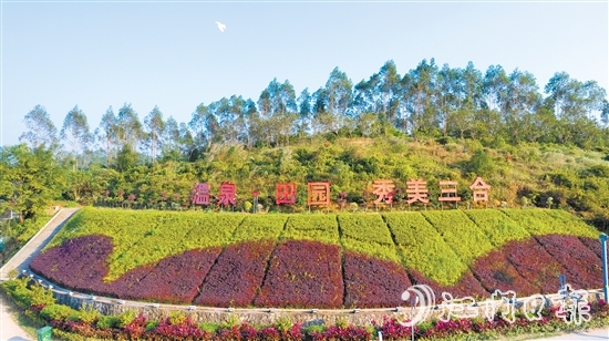 三合镇是台山城区的“后花园”，地理位置得天独厚。