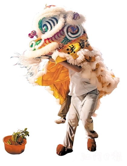 花炮会上，醒狮采青表演十分精彩。