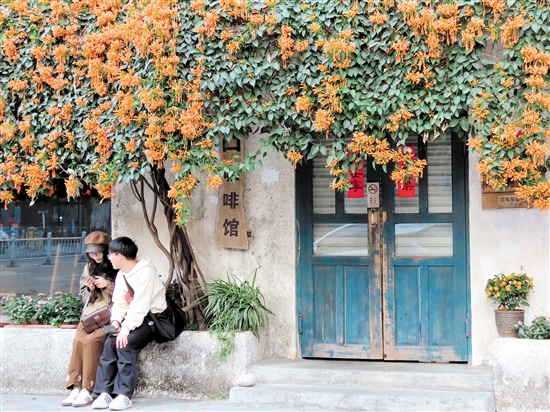 开平市三埠街道港口路的炮仗花开得绚烂热烈。李淑珩