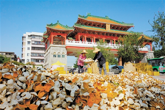 新会陈皮连续三年蝉联“中国区域农业产业品牌影响力指数TOP100”榜单之首。