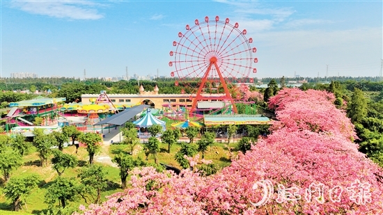 依托礼乐街道独特旅游资源，长廊生态园开发研学旅游项目，赋能“江门三点三精彩之旅”品牌建设。