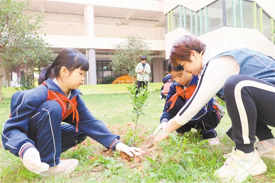 江门一中附属小学师生携手添绿。