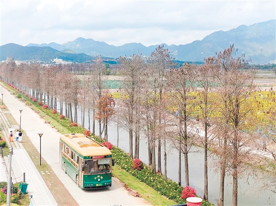 游客坐上“铛铛车”，欣赏沿途的美景。