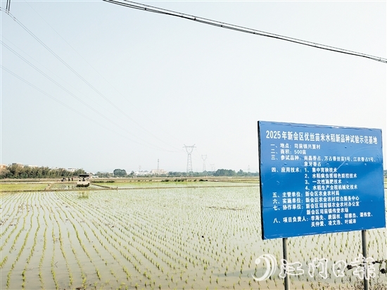 兴篁村建成标准农田，为粮食高产、稳产、均衡增产奠定基础。