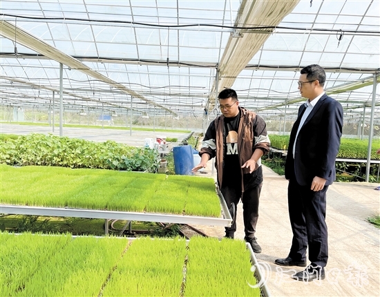 台山农商银行客户经理上门对接农户春耕融资需求。