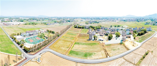 鹰村田园综合体项目建设顺利推进。