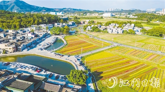 春赏格桑花、夏观荷塘月、秋品稻花香、冬闻桂花酿的“全季旅游”模式，让桂水村的知名度不断攀升。