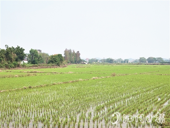 2024年，塘口新增耕地超49公顷，为乡村振兴注入了新动能。