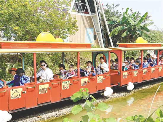 佛山学子到江门古劳水乡旅游区开展研学活动。