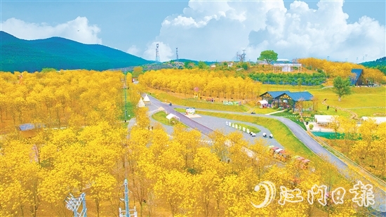 江门市七颗星农业生态园于今年1月正式对外营业，吸引了不少市民游客前来游玩。