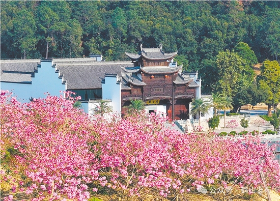共和镇来苏村利用去年擂台比武获得的奖励资金进行一系列乡村建设。图为来苏山水人家文旅项目。