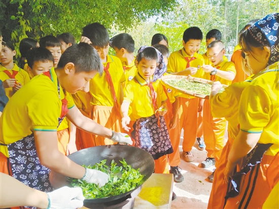 学生们体验传统制茶技艺。