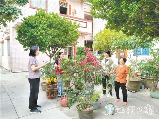 江海区乡村绿化工作深入人心。图为礼乐街道驻新华村干部、村“两委”干部入户开展乡村绿化评分。