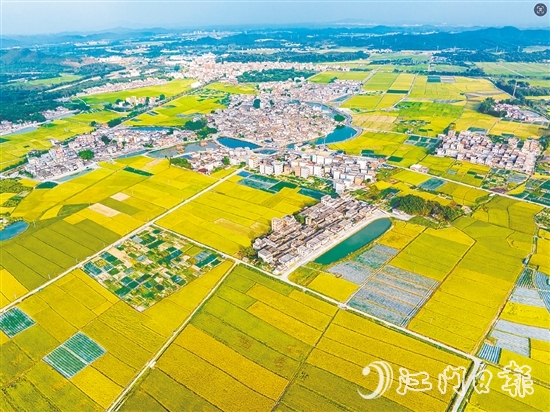 恩平土壤肥沃，富含“硒”元素，该市正努力推动让“硒”资源转化为富民强市的“硒”经济。图为恩平市牛江镇。