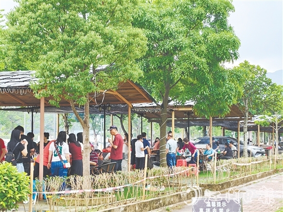 今年“五一”假期，恩平市簕菜文化创意园内游人如织。
