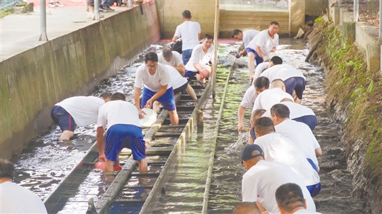 外海街道龙舟“起龙”现场。