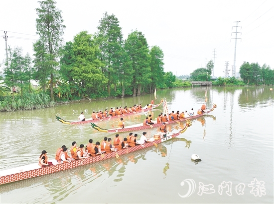 江海区组织新市民参加龙舟体验活动。