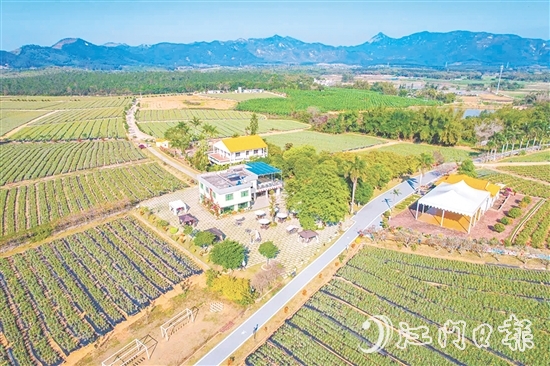 四九镇东冠村创新“自然风光+异域风情+休闲度假”发展模式，将传统农业庄园变为沉浸式文旅目的地。