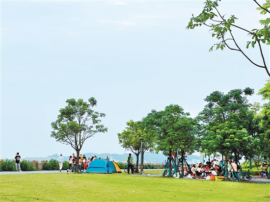 每到周末及节假日，江门各大公园及露营地成为亲子野餐露营的首选之地。