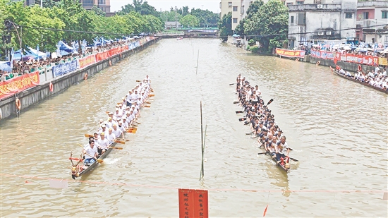 扒丁们在比赛中奋力划桨。