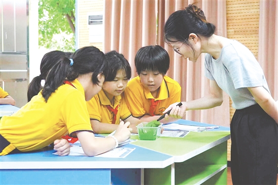 在古劳镇连南小学的科学课上，学生们化身为“小小科学家”，认真观察并仔细记录蚕的生长变化。