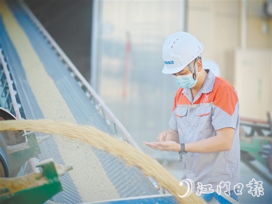 台国粮集团以“珍香”品牌优质大米为核心依托，构建起涵盖收购、烘干、储备、轮换，以及精深加工、品质检测、市场销售的全链条产业化经营体系。
