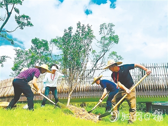 会城街道人大代表在小鸟天堂国家湿地公园种下40多株桃花树苗。