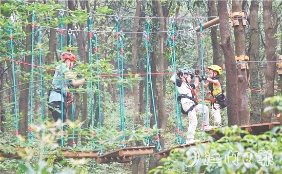 鹤山大雁山飞越丛林乐园十分火热，吸引各地游客进山探秘原始丛林，体验户外运动带来的无限乐趣。