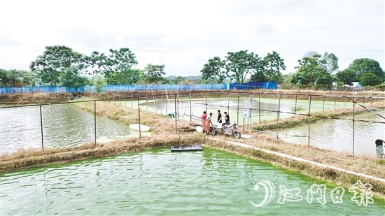 养殖基地毗邻鹤城镇三堡河，水源充沛，水质优良。