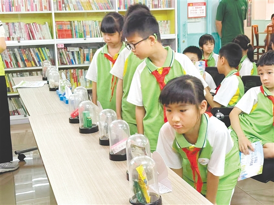 学生们有序参观毒品仿真模型。