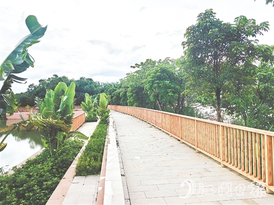 在红卫岛堤防达标加固工程的加持下,环岛休闲漫步道建设持续推进。 在红卫岛堤防达标加固工程的加持下,环岛休闲漫步道建设持续推进。