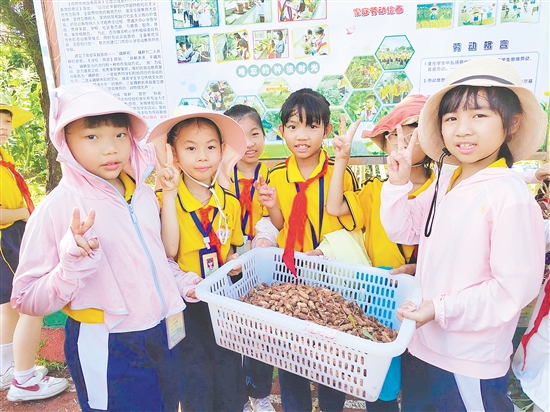 学生采摘花生，感受丰收的喜悦。