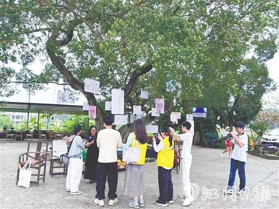 胡丹阳选择将画展搬到仓东村的大榕树下。 胡丹阳选择将画展搬到仓东村的大榕树下。