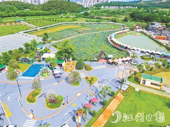 台城街道桂水村打造“环境美、产业兴、乡风淳”的乡村振兴样板，绘就村美民富产业兴的新画卷。